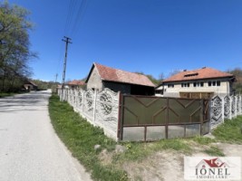 casa-de-vanzare-in-almasu-mare-cu-3992-mp-teren-19