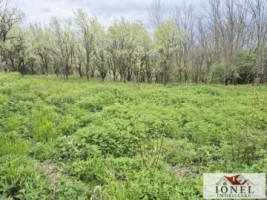 vanzare-teren-in-straja-1295-mp-1