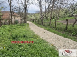 vanzare-teren-in-straja-1295-mp-0