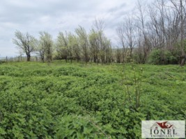 vanzare-teren-in-straja-1295-mp-3