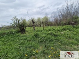 vanzare-teren-in-straja-1295-mp-2