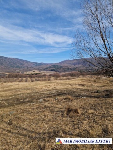 vand-teren-intravilan-6000-mp-in-nucsoara-arges-2