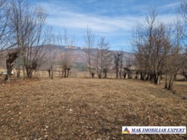 vand-teren-intravilan-6000-mp-in-nucsoara-arges-3