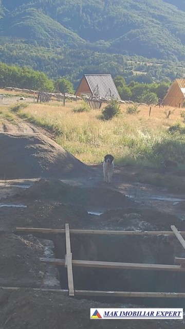 vand-teren-intravilan-6000-mp-in-nucsoara-arges-6