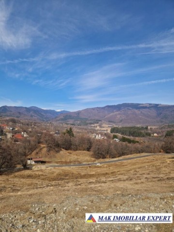 vand-teren-intravilan-6000-mp-in-nucsoara-arges-4