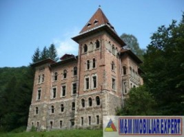 castel-50-camere-teren-8800-mp-zlatna-ab-0