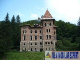 castel-50-camere-teren-8800-mp-zlatna-ab-1