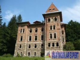 castel-50-camere-teren-8800-mp-zlatna-ab-2