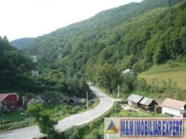 castel-50-camere-teren-8800-mp-zlatna-ab-4