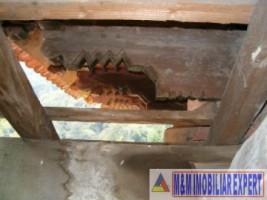 castel-50-camere-teren-8800-mp-zlatna-ab-13