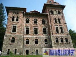 castel-50-camere-teren-8800-mp-zlatna-ab-6