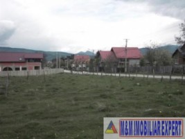 teren-3000-mp-intravilan-campulung-muscel-grui-arges-0