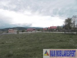 teren-3000-mp-intravilan-campulung-muscel-grui-arges-4