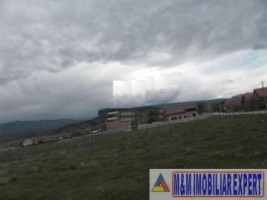 teren-3000-mp-intravilan-campulung-muscel-grui-arges-6