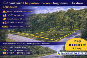 dublura-vanzare-padure-foioase-dragodana-dambovita-0