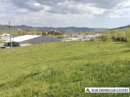 vand-teren-12-ha-ideal-pt-proiect-imobilia-pucioasa-dambovita-2