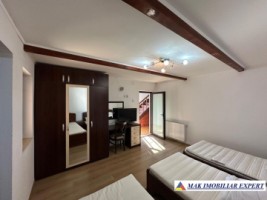 complex-afacere-la-cheie-teren-2550-mp-in-piertosani-domnesti-ag-23