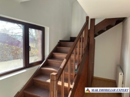 complex-afacere-la-cheie-teren-2550-mp-in-piertosani-domnesti-ag-31