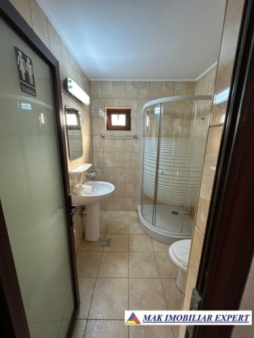 complex-afacere-la-cheie-teren-2550-mp-in-piertosani-domnesti-ag-45
