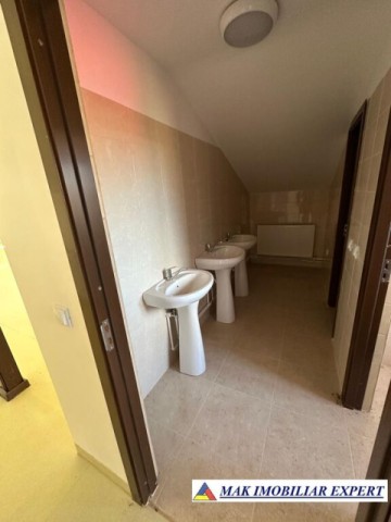 complex-afacere-la-cheie-teren-2550-mp-in-piertosani-domnesti-ag-47