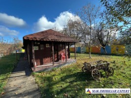 complex-afacere-la-cheie-teren-2550-mp-in-piertosani-domnesti-ag-70