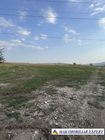 oportunitate-teren-1-ha-pe-mateias-valea-mare-pravat-arges-0