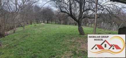 vanzare-casa-in-campulung-intr-o-zona-linistita-cu-3-camere-demolabila-cu-o-suprafata-de-teren-28000-mp-la-pretul-de-47000-de-euro-negociabil-10