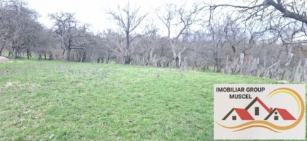 vanzare-casa-in-campulung-intr-o-zona-linistita-cu-3-camere-demolabila-cu-o-suprafata-de-teren-28000-mp-la-pretul-de-47000-de-euro-negociabil-11