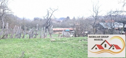 vanzare-casa-in-campulung-intr-o-zona-linistita-cu-3-camere-demolabila-cu-o-suprafata-de-teren-28000-mp-la-pretul-de-47000-de-euro-negociabil-12