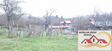 vanzare-casa-in-campulung-intr-o-zona-linistita-cu-3-camere-demolabila-cu-o-suprafata-de-teren-28000-mp-la-pretul-de-47000-de-euro-negociabil-13