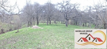 vanzare-casa-in-campulung-intr-o-zona-linistita-cu-3-camere-demolabila-cu-o-suprafata-de-teren-28000-mp-la-pretul-de-47000-de-euro-negociabil-14