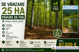 vand-25-ha-padure-de-fag-in-catiasu-buzau-0