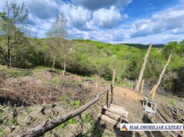 vand-teren-3204-mp-intra-extrav-in-godeni-arges-31