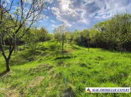 vand-teren-3204-mp-intra-extrav-in-godeni-arges-44