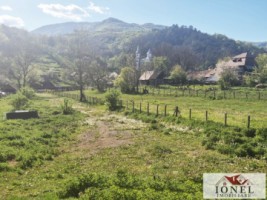 vanzare-casa-in-muntii-apusenii-ocolis-14
