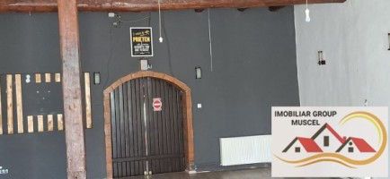 vanzare-spatiul-comercial-situat-intr-o-zona-centrala-spatios-in-suprafata-de-590-mp-la-pretul-de-220000-euro-negociabil-11