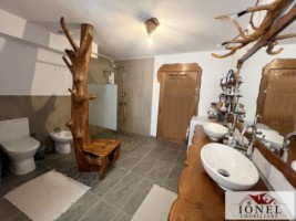 casa-exclusivista-de-vanzare-in-aiud-15