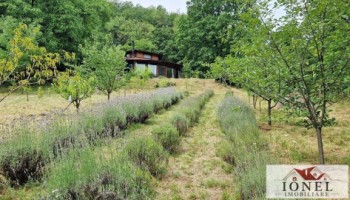 casa-exclusivista-de-vanzare-in-aiud-30