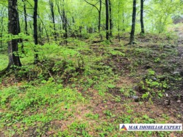 casa-musceleana-3-cam-terern-44225-mp-in-dregoslavele-arges-27