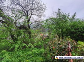 casa-musceleana-3-cam-terern-44225-mp-in-dregoslavele-arges-28