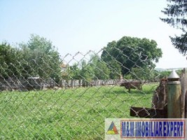 teren-3000-mp-casa-intravilan-in-centru-campulung-muscel-ag-5