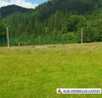 teren-intraextrav-2000-mp-de-vanzare-rucar-satic-arges