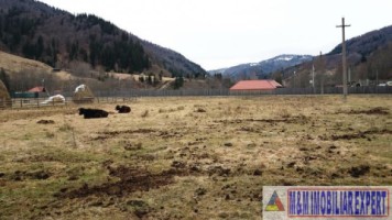 teren-intraextrav-2000-mp-de-vanzare-rucar-satic-arges-4