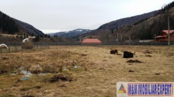 teren-intraextrav-2000-mp-de-vanzare-rucar-satic-arges-6