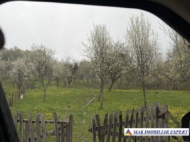 de-vanzare-teren-116-ha-in-corbi-arges-0