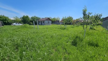 dumbrava-1219-mp-teren-ideal-casa-asfalt-utilitati-0