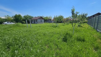 dumbrava-1219-mp-teren-ideal-casa-asfalt-utilitati-2