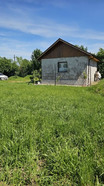 dumbrava-1219-mp-teren-ideal-casa-asfalt-utilitati-9