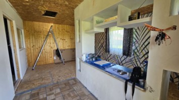 dumbrava-1219-mp-teren-ideal-casa-asfalt-utilitati-16