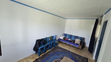 dumbrava-1219-mp-teren-ideal-casa-asfalt-utilitati-22